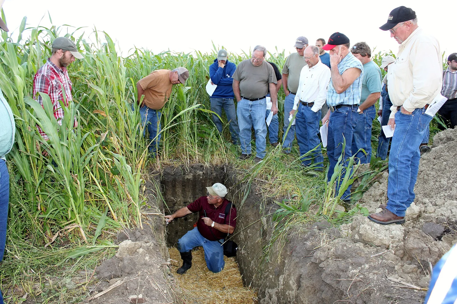 Farmers and researchers examining soil beneath a cover-crop field